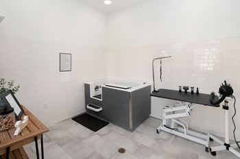 Pet grooming station 